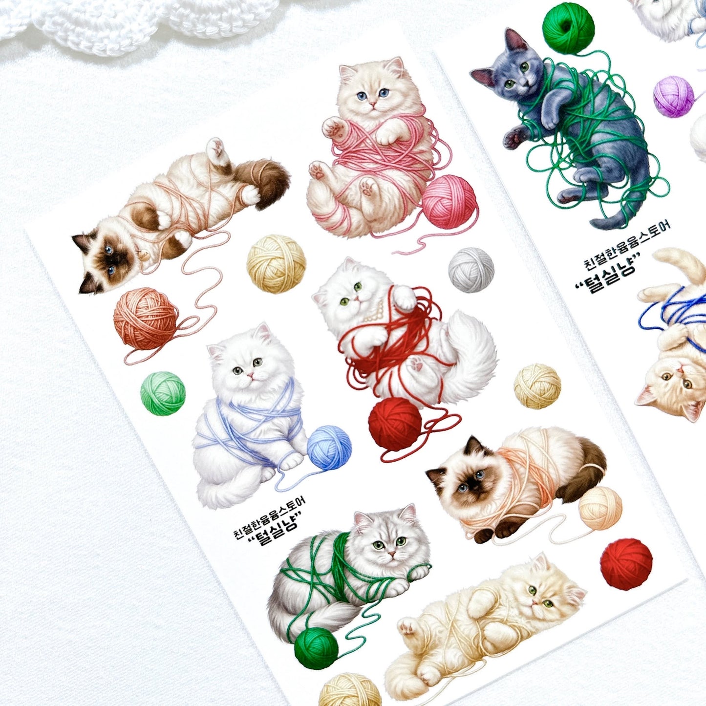 [Kind YumYum Store] Cat package