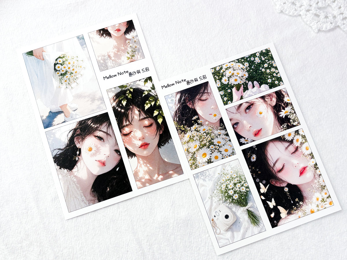 [Mellow Note] 6. 8月パッケージ