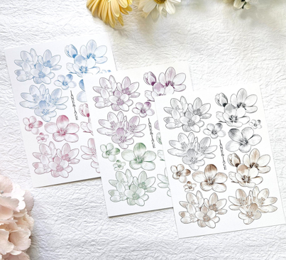 [Jane&Jace] Crocus Flower Paper