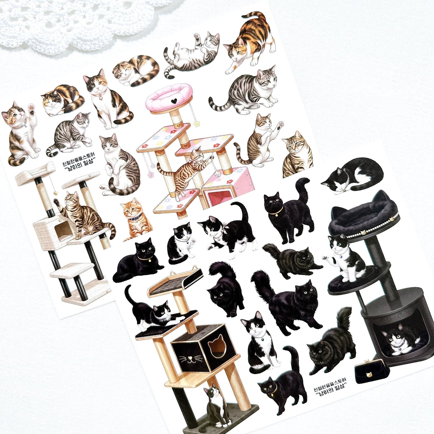 [Kind YumYum Store] Cat package