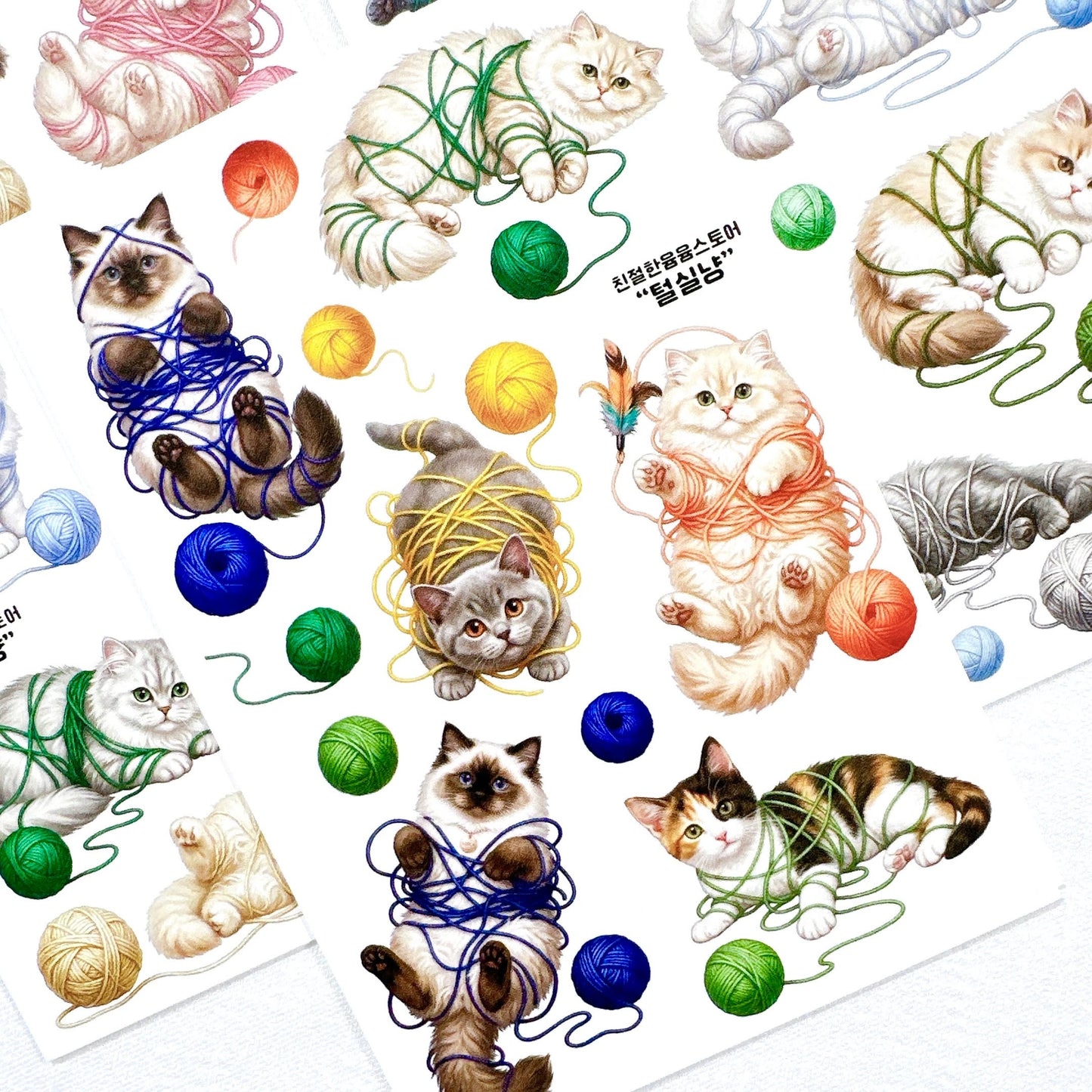 [Kind YumYum Store] Cat package
