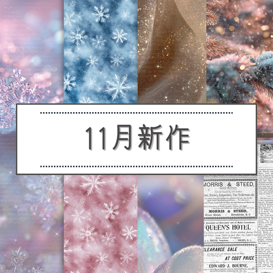 【バイヤー】2025年11月新作　400枚以上