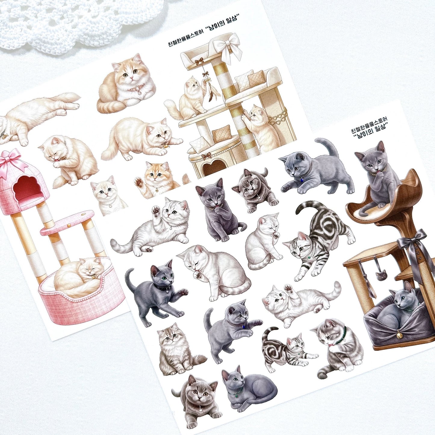 [Kind YumYum Store] Cat package