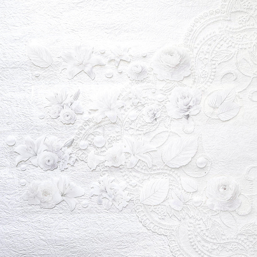 [Jane&Jace] Pure Flower PET Masking Tape