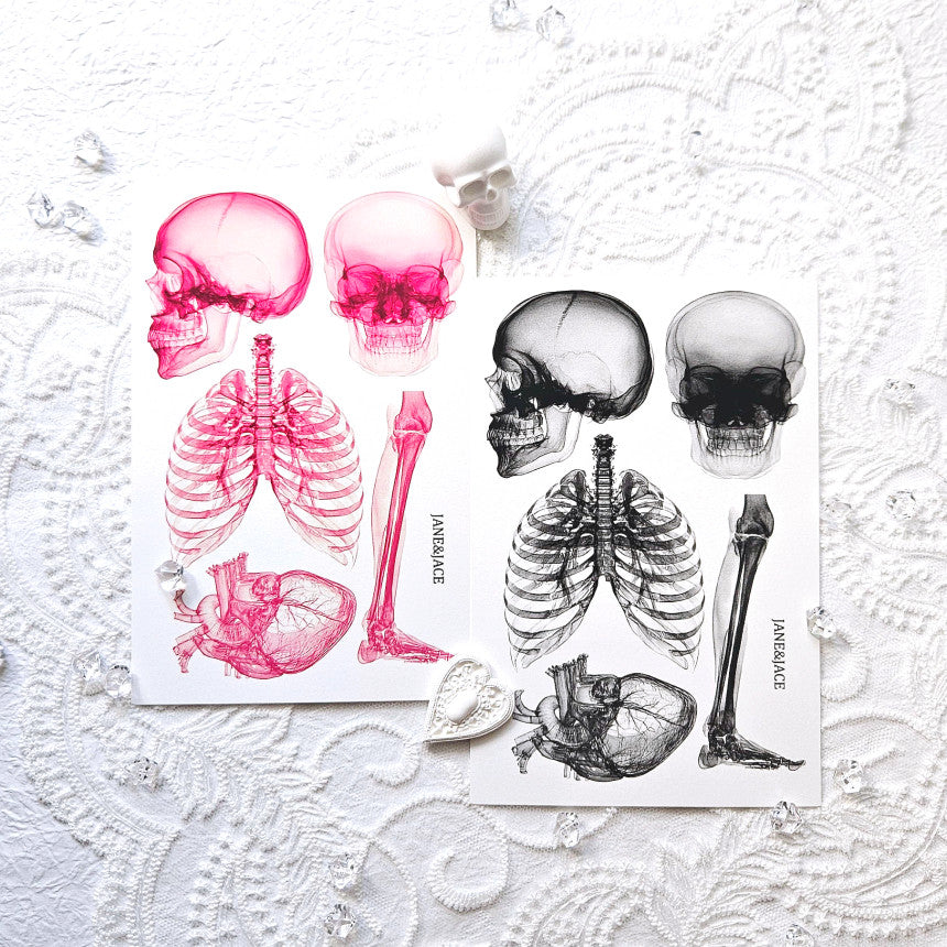 [Jane&Jace] Blackpink Xray Deco Paper