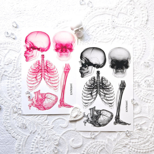 [Jane&Jace] Blackpink Xray Deco Paper