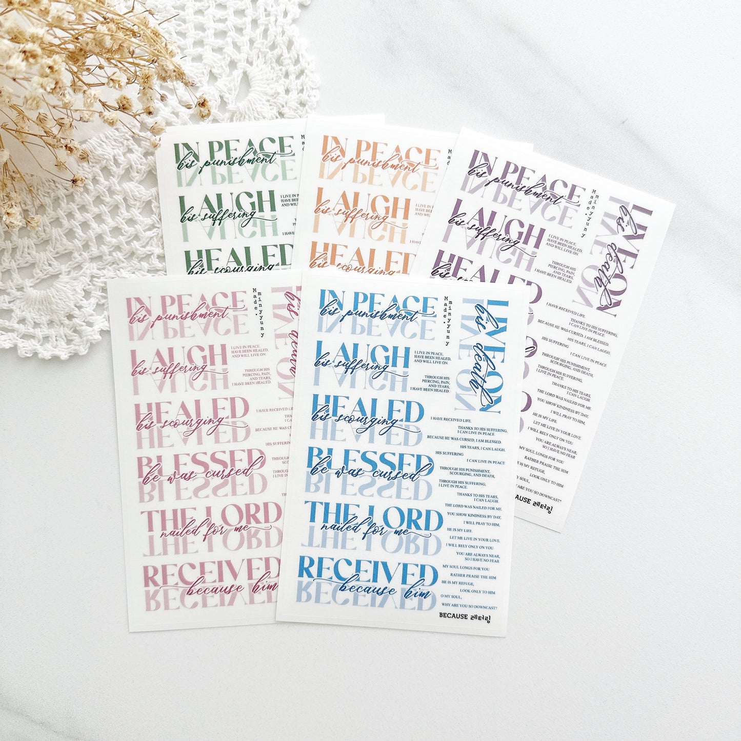 [MINYYUNY]  Because Lettering PET Color