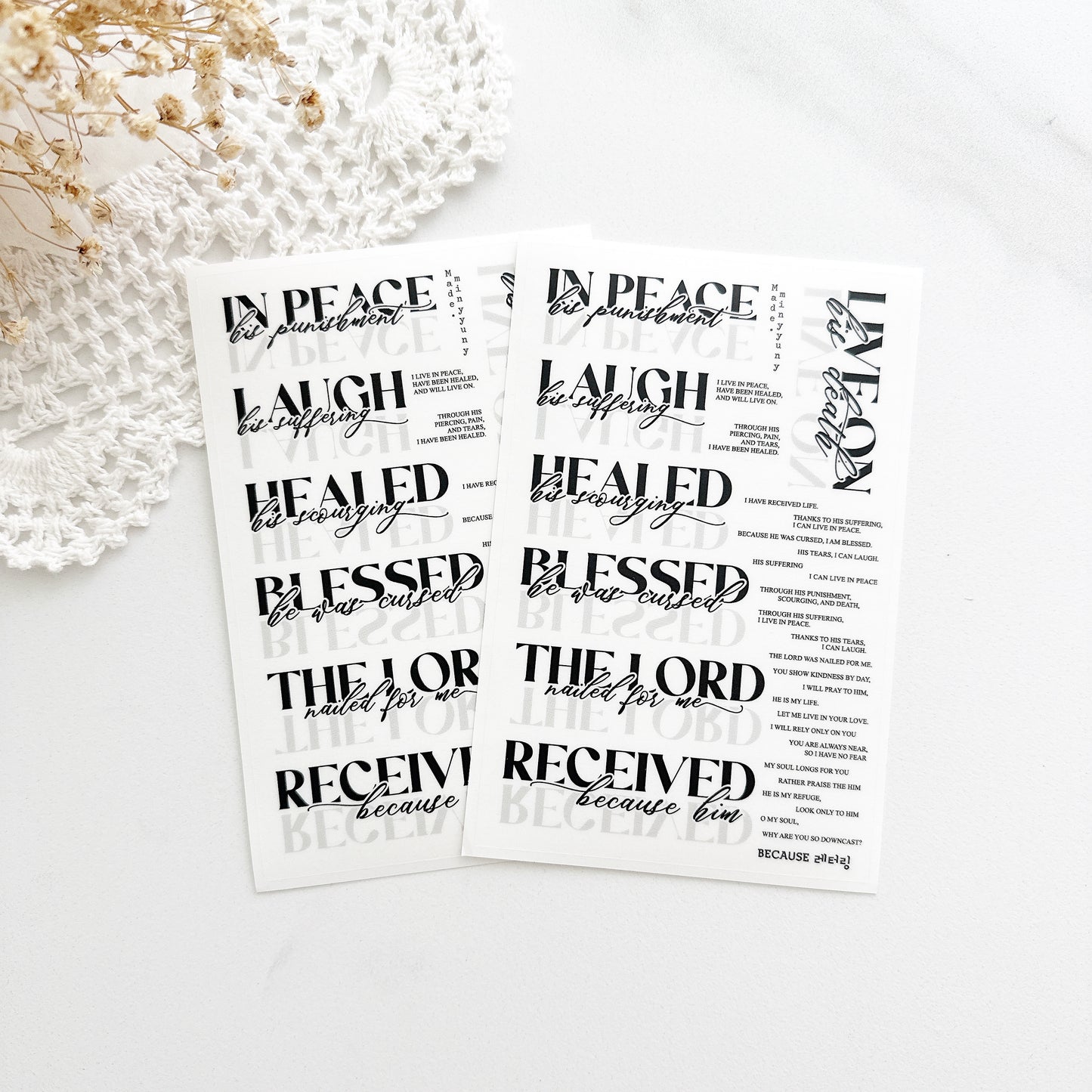 [MINYYUNY]  Because Lettering PET Black