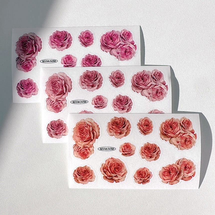 [Ann's NOTE]  Damask Rose Matt PET